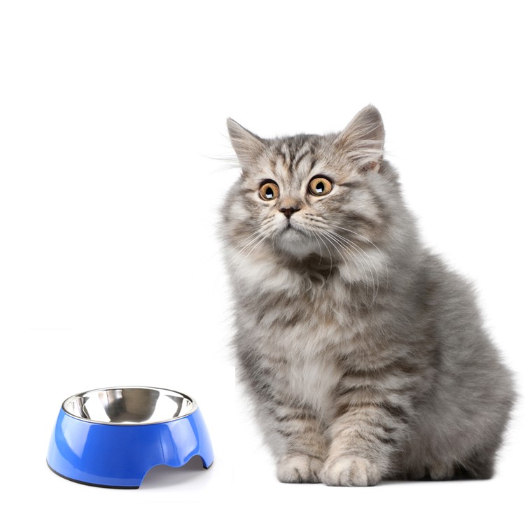High Gloss Melamine and Stainless Steel Pet Food Bowl Anti-skid Round Bowl for Puppy and Kitty, Size L - Blue-1