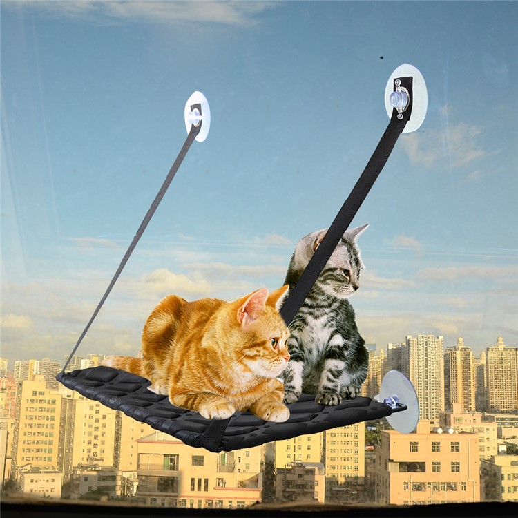 Single Layer Cat Hammock Comfortable Pet Hanging Window Perch - Black-1