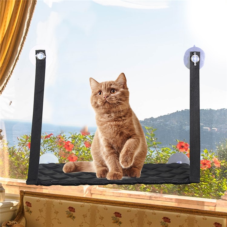 Single Layer Cat Hammock Comfortable Pet Hanging Window Perch - Black-2