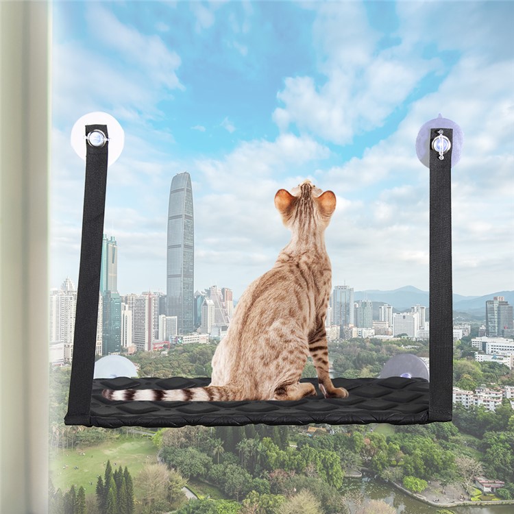 Single Layer Cat Hammock Comfortable Pet Hanging Window Perch - Black-3