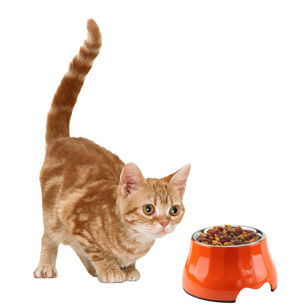 2 in 1 Melamine Pet Dog High Bowl with Stainless Steel Bowl Insert - Size: S / Black-2
