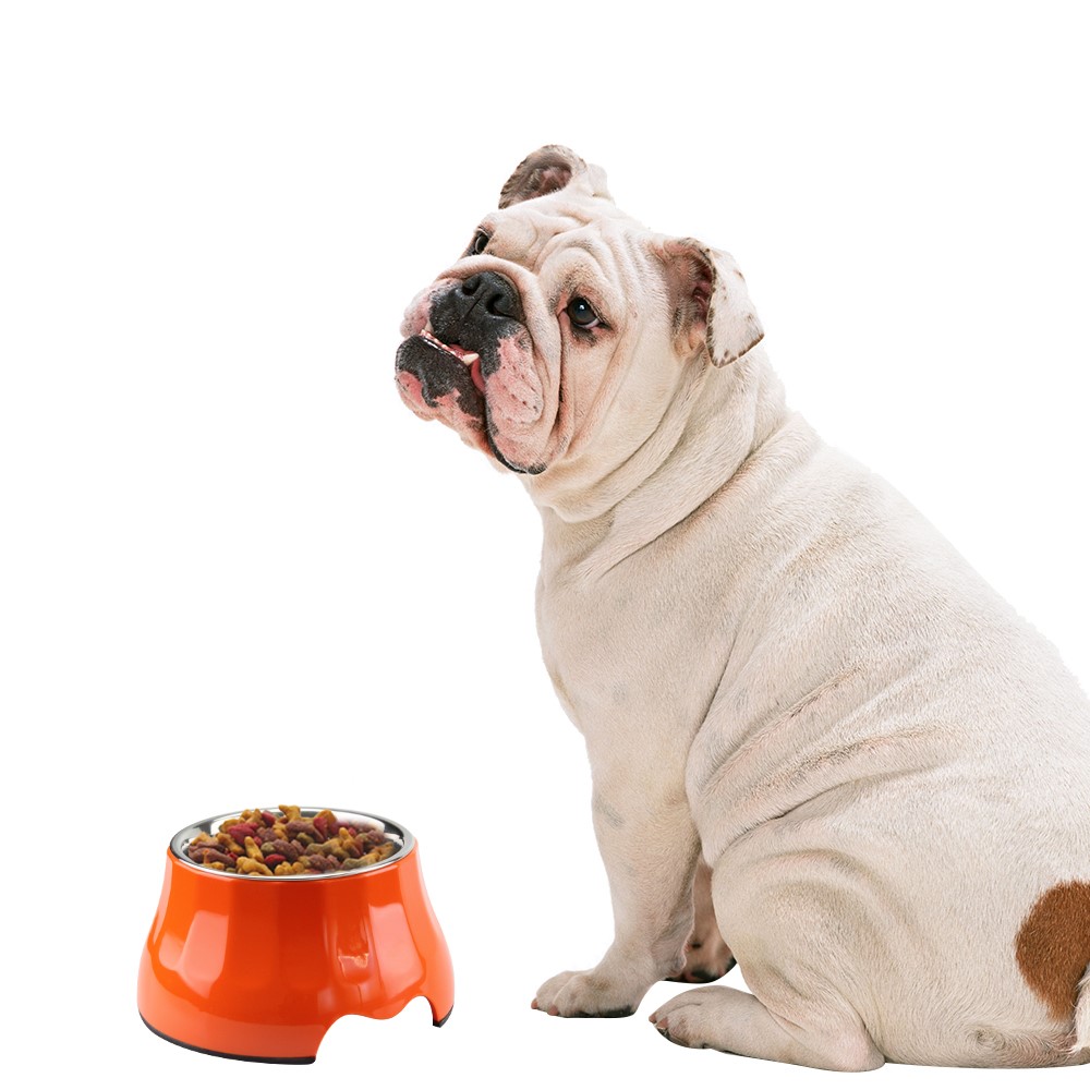 Detachable Melamine Pet Dog High Bowl with Stainless Steel Bowl Insert - Size: S / White-7