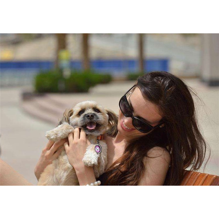 Pet Dog Anti Lost Pendant Keychain QR Code Pet ID Tag Tracker Wireless Locator - Purple-14