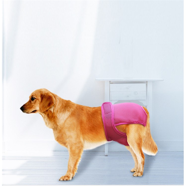 Pet Dog Diaper Sanitary Physical Pants with Velcro Closure - Rose / Size: M-2