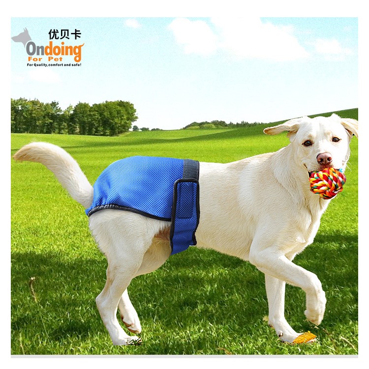 Velcro Closure Pet Dog Diaper Ventilated Sanitary Physical Pants - Blue / Size: XL-2