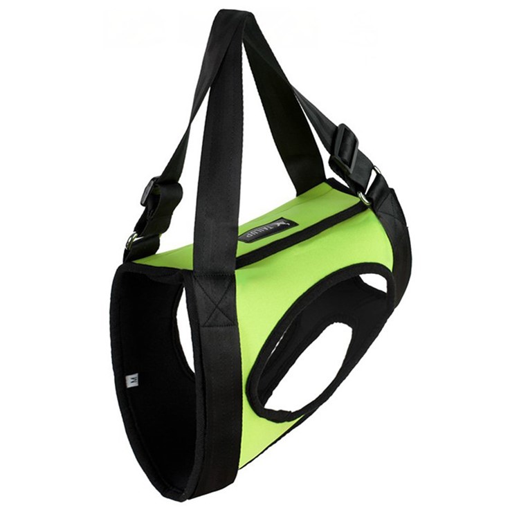Dog Lift Support Harness Rehabilitation Pet Lifting Sling - Size: L / Green-3