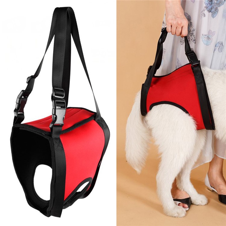 Dog Lift Support Harness with Handle Aid Auxiliary Belt Rehabilitation Carrier Assist Sling for Elderly Sick Pet - Size: M / Red-2