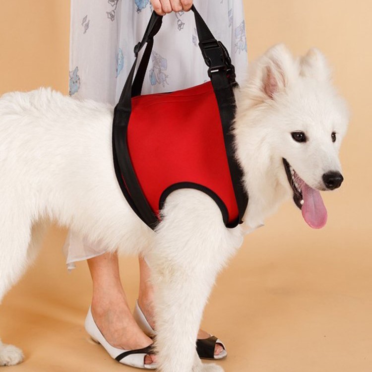 Dog Lift Support Harness with Handle Aid Auxiliary Belt Rehabilitation Carrier Assist Sling for Elderly Sick Pet - Size: M / Red-6