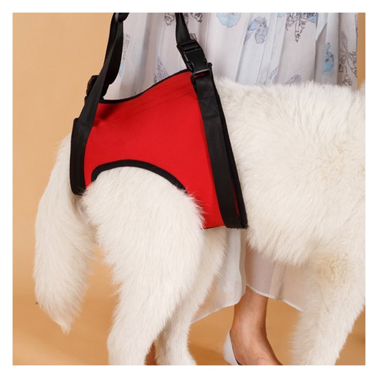 Dog Lift Support Harness with Handle Aid Auxiliary Belt Rehabilitation Carrier Assist Sling for Elderly Sick Pet - Size: M / Red-7
