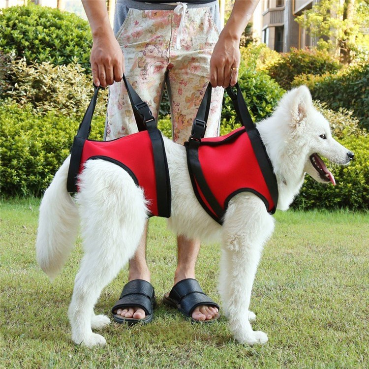 Dog Lift Support Harness with Handle Aid Auxiliary Belt Rehabilitation Carrier Assist Sling for Sick Elderly Pet - Size: M / Orange-4