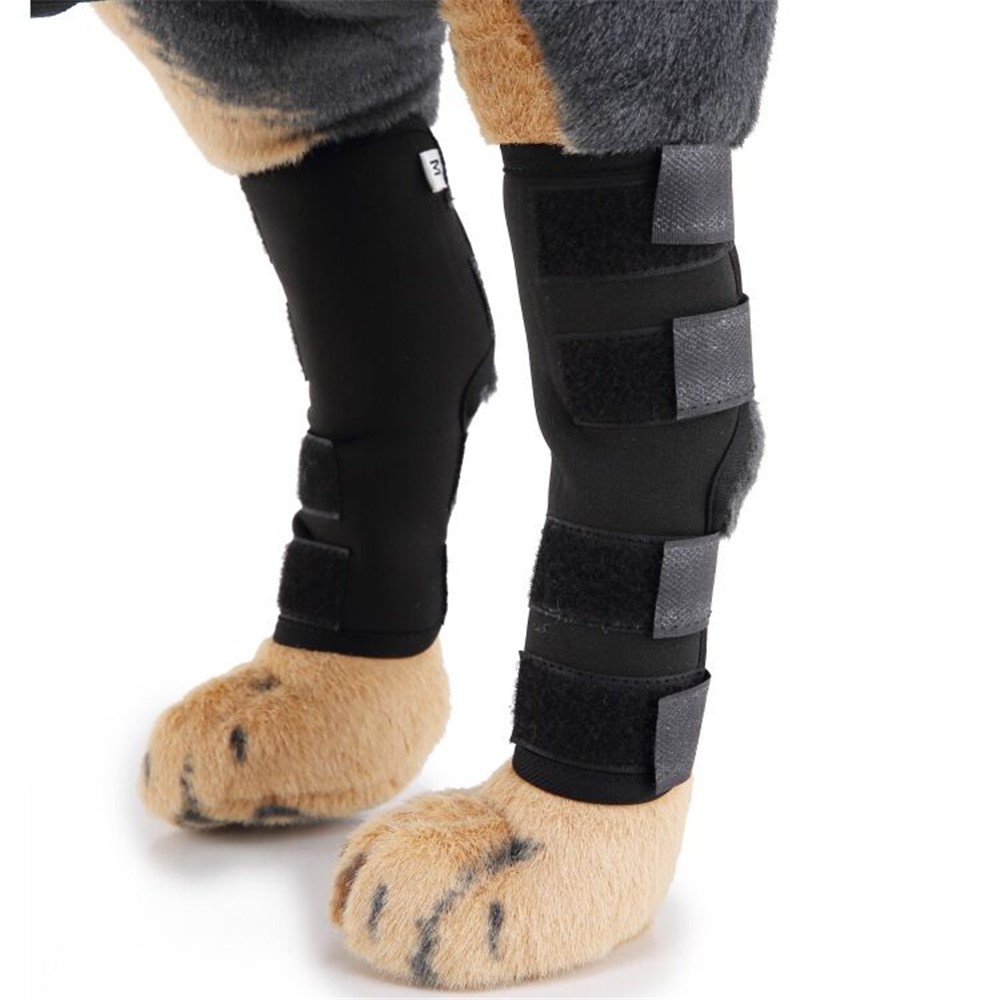 Pet Knee Wrap Dog Hind Leg Hock Joint Support for Injury Recover Dog - Size: M-6