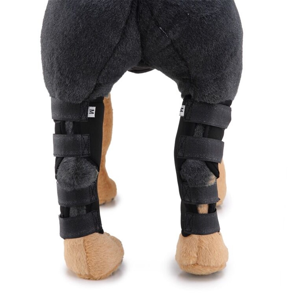 Pet Knee Wrap Dog Hind Leg Hock Joint Support for Injury Recover Dog - Size: M-7