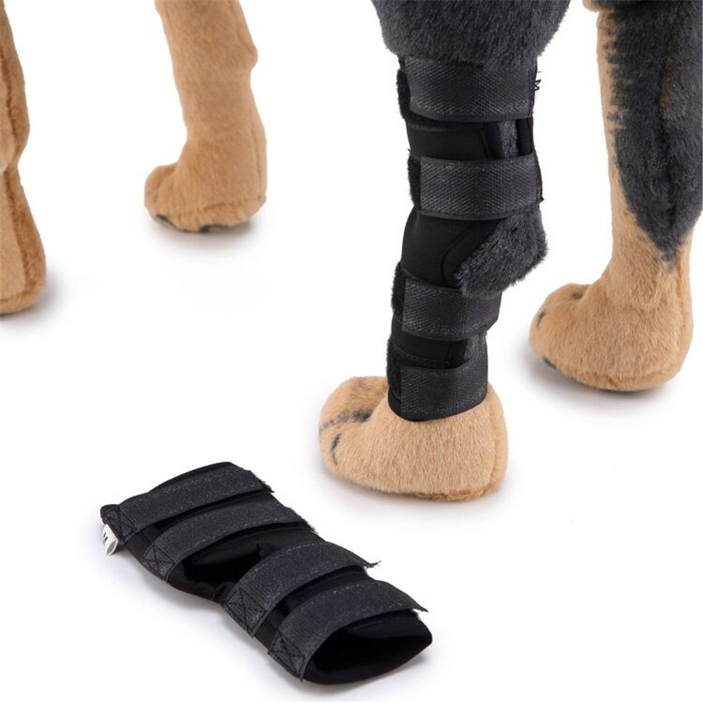 Pet Knee Wrap Dog Hind Leg Hock Joint Support for Injury Recover Dog - Size: M-8