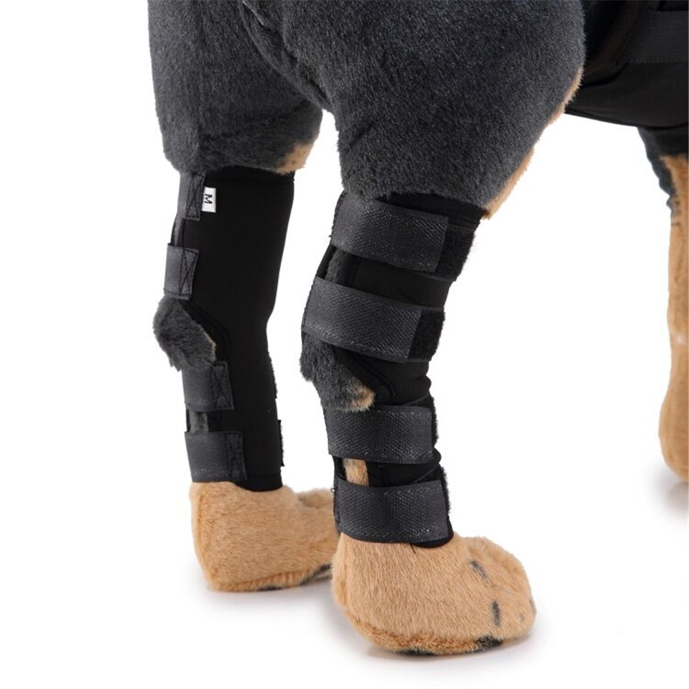 Pet Knee Wrap Dog Hind Leg Hock Joint Support for Injury Recover Dog - Size: M-9