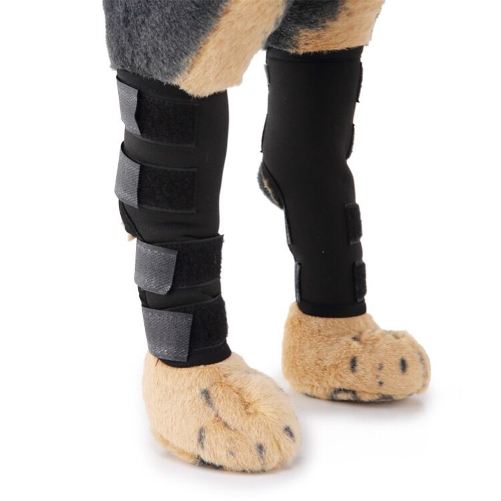 Pet Knee Pads Dog Leg Protecor for Wounds Heal Dog - Size: L-1