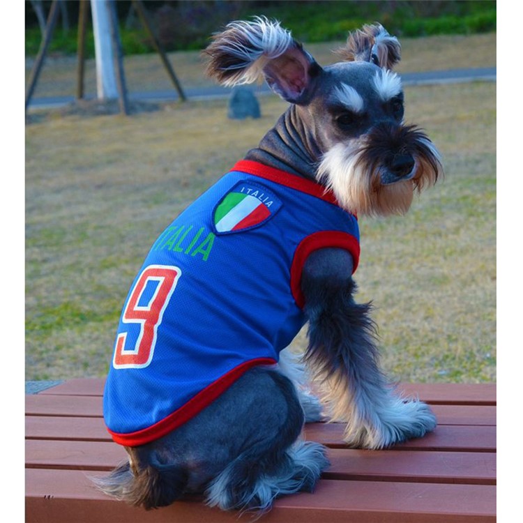World Cup Soccer Jersey Breathable Spring/Summer Cool Dogs Vests Puppy Outdoor Sportswear Football Clothes - Size: XXL / Blue Number 9 Italia-3