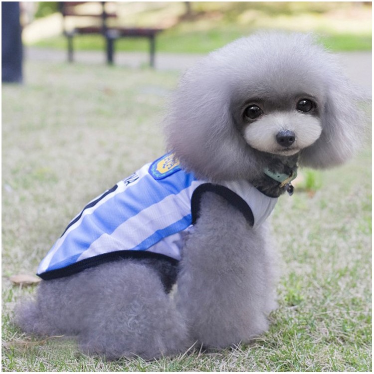 World Cup Soccer Jersey Cool Spring/Summer Dogs Vests Puppy Outdoor Sportswear Football Clothes - Size: S / White and Blue Number 10 Argentina-2