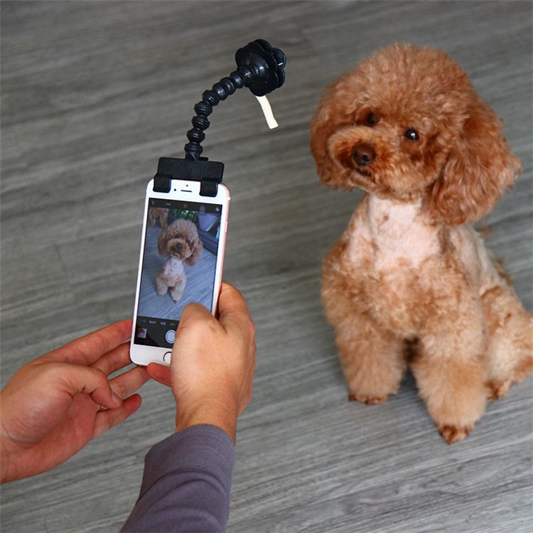 Portable Pet Selfie Stick Phone Attachment Dog Cat Take Photos Training Tool - Black-2