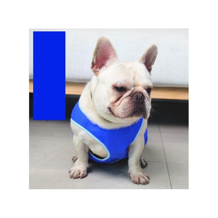 Pet Cooling Clothes PVA Dog Summer Cooling Harness - Blue / M-2