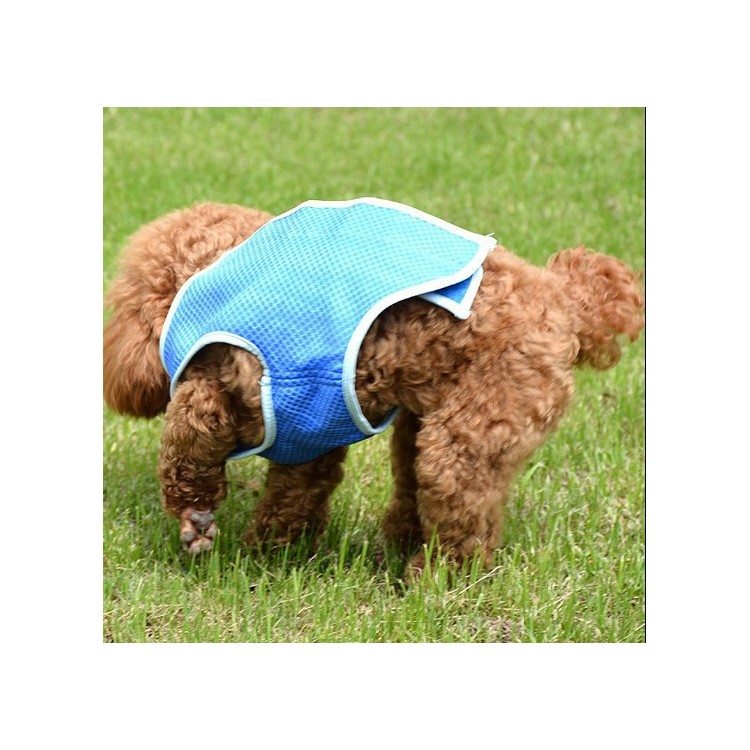 Pet Cooling Clothes PVA Dog Summer Cooling Harness - Blue / M-4