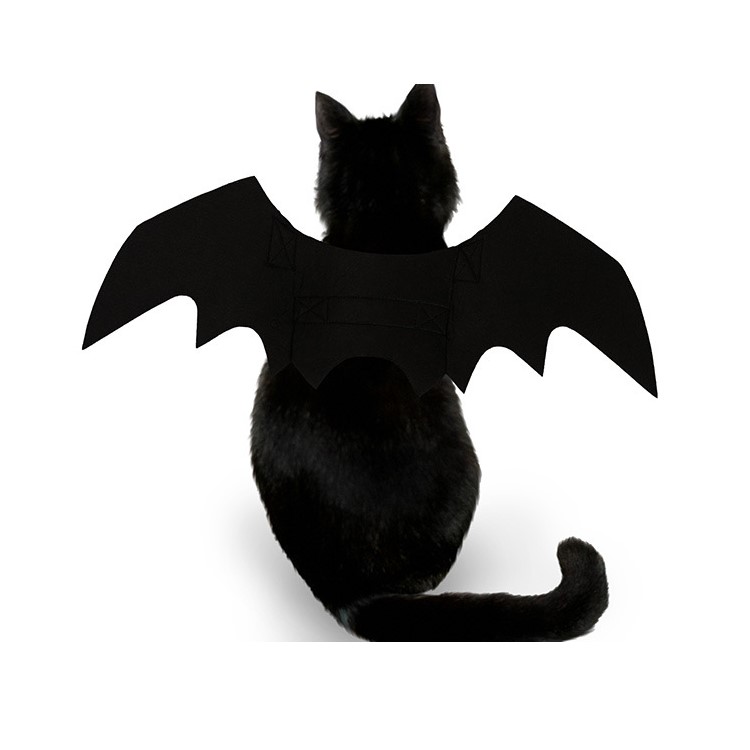 Halloween Pet Bat Wings Cat Bat Costume Puppy Kittens Black Bat Dog Wing Clothes-2