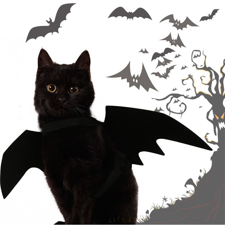 Halloween Pet Bat Wings Cat Bat Costume Puppy Kittens Black Bat Dog Wing Clothes-3