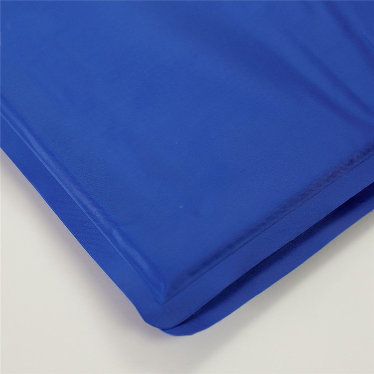 Non-Toxic Pet Cooling Gel Pad for Puppies and Cats, Size: M (50 x 65cm) - Blue-5