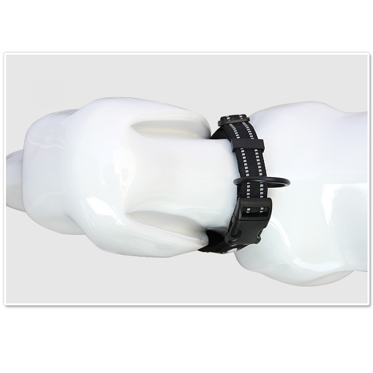 TRUELOVE Nylon Mesh Adjustable Pet Puppy Collar - Black / M Size-2