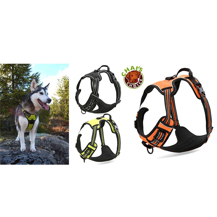 TRUELOVE No-pull Dog Harness with Handle (TLH5651) - Black / Size: S-4