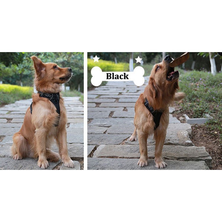 TRUELOVE Outdoor Adventure Pet Vest No-pull Dog Harness with Handle (TLH5651) - Black / Size: XL-5