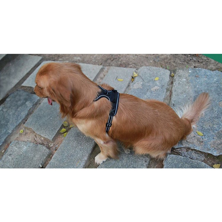 TRUELOVE Outdoor Adventure Pet Vest No-pull Dog Harness with Handle (TLH5651) - Black / Size: XL-6