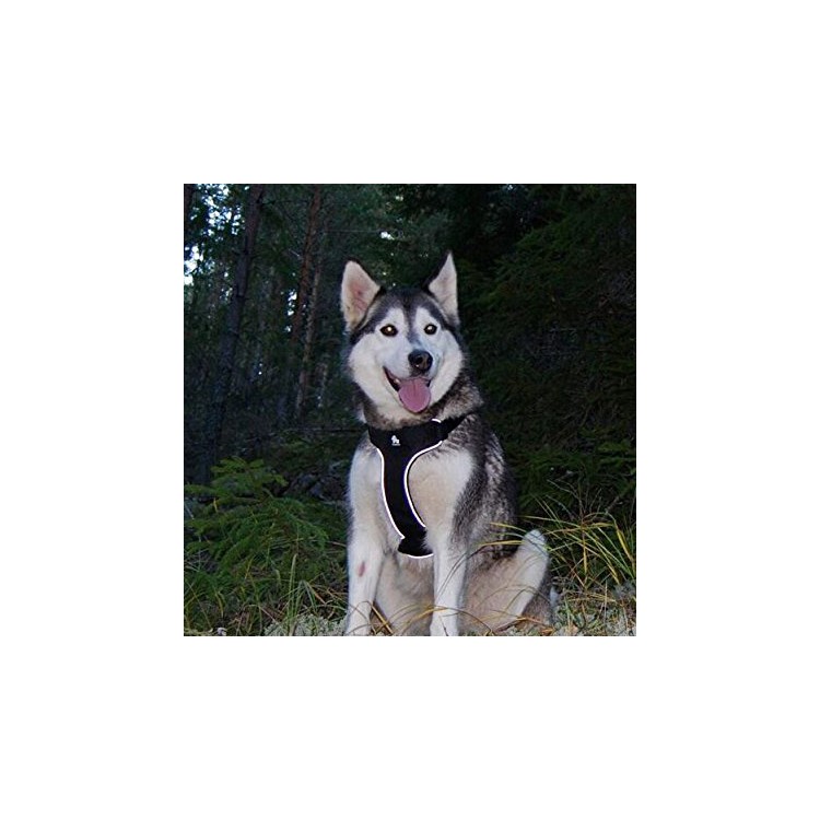 TURELOVE Best Front Range Dog Harness 3M Reflective Pet Vest - Size: S, Black / Red-7