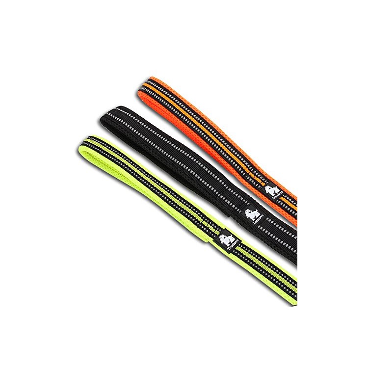 TRUELOVE Durable Dog Leash Nylon Mesh Paded Pet Strap 110 x 1.5cm - Black / S Size-4