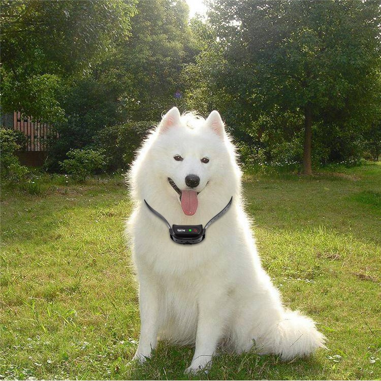 iT798 300 Meters Electric Dog Training Collar Rechargeable and Waterproof - EU Plug-2