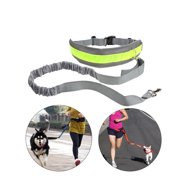 Fashionable Dog Training Waist Belt with Zipper Mesh Pocket Handsfree