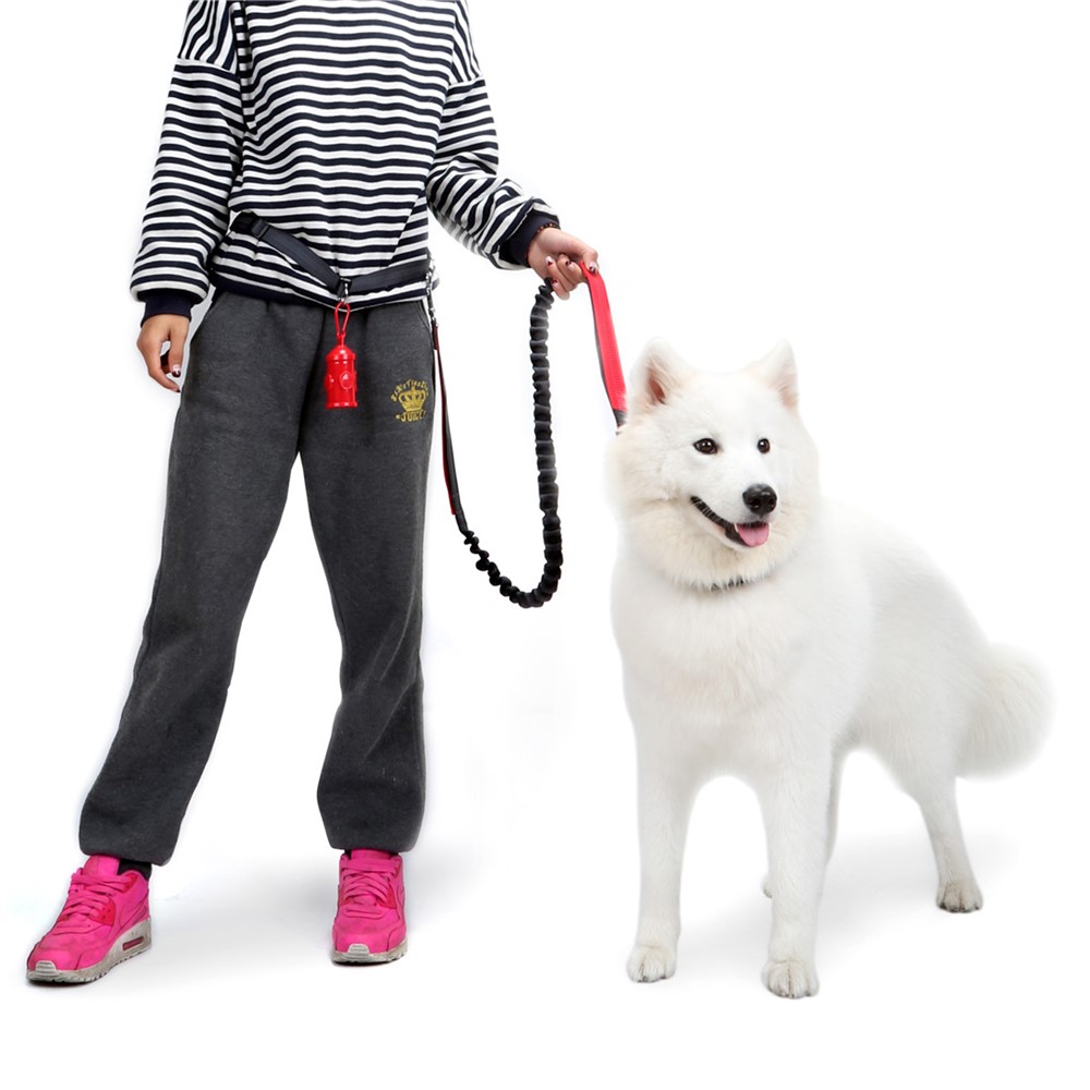 Hands Free Nylon Double-sided Reflective Running Dog Bungee Leash with Dual Handles - Red-1