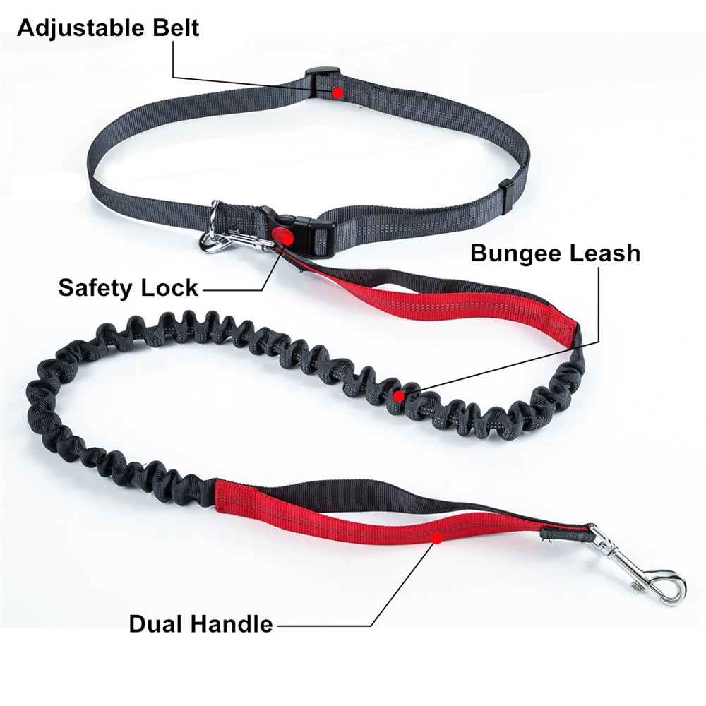 Hands Free Nylon Double-sided Reflective Running Dog Bungee Leash with Dual Handles - Red-3