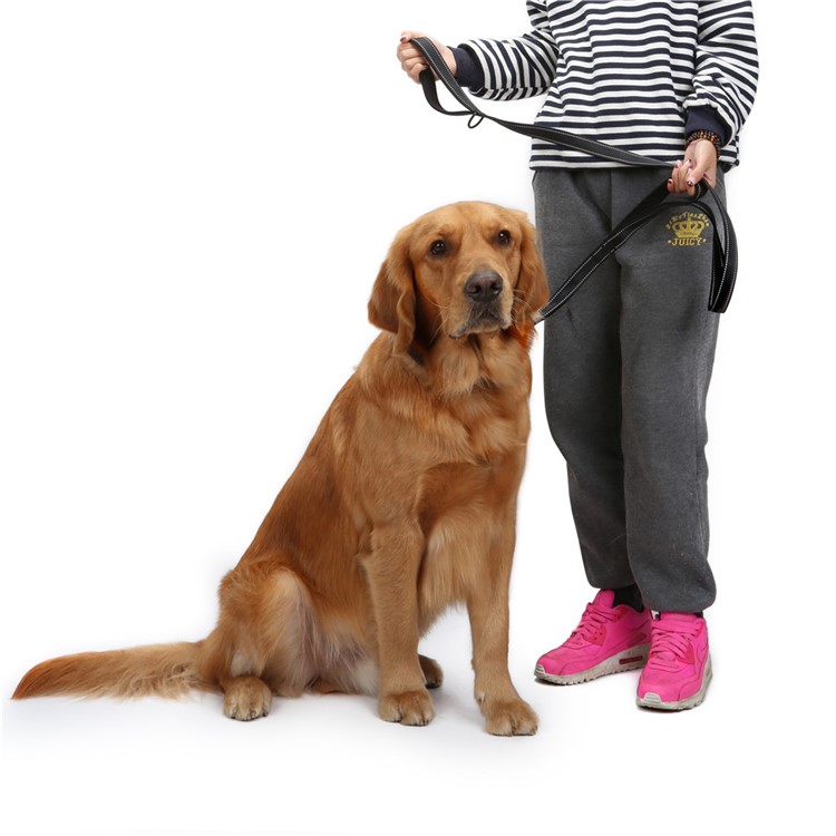 TG-L029 Dual Layer Nylon Double-sided Reflective Dog Leash with Extra Traffic Handle - Black-1