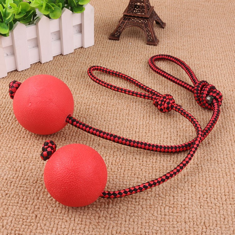 Pet Chewing Training Solid Rubber Ball Puppy Ball Toy with Rope, Diameter: 5CM-1