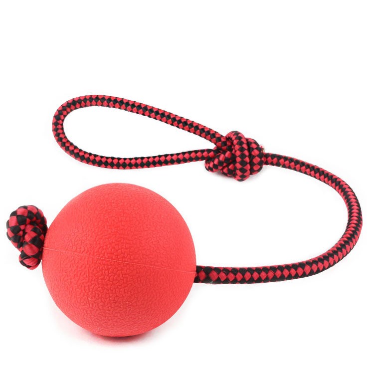 Pet Chewing Training Solid Rubber Ball Puppy Ball Toy with Rope, Diameter: 5CM-2