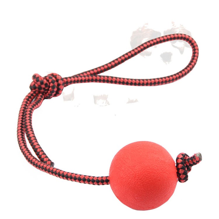 Pet Chewing Training Solid Rubber Ball Puppy Ball Toy with Rope, Diameter: 5CM-4