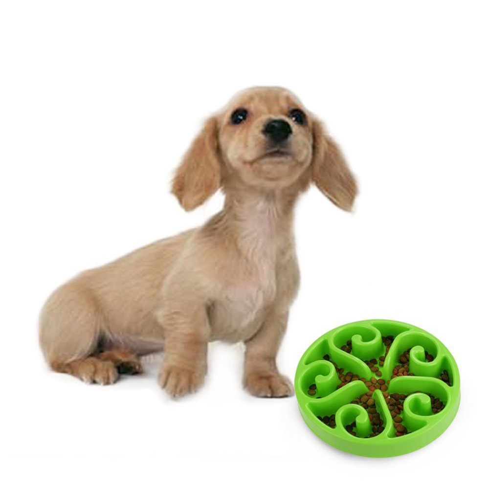 Funny Slow Feeder Bowl Interactive Bloat Stop Dog Bowl - Green-1