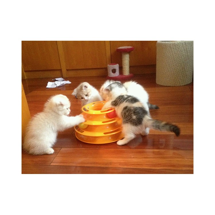 Cat Tower of Tracks Amusement Toy Interactive Track and Ball Chase Pet Intelligence Toy-9