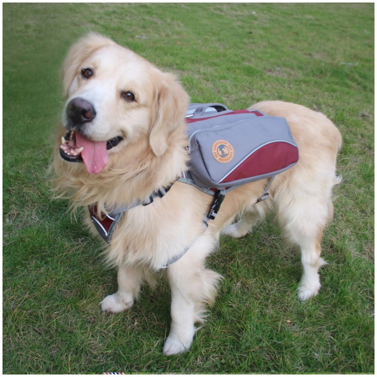 2 in 1 Service Dog Vest Harness Saddlebag Backpack with 2 Removable Saddle Bags - Red / Size: M-14