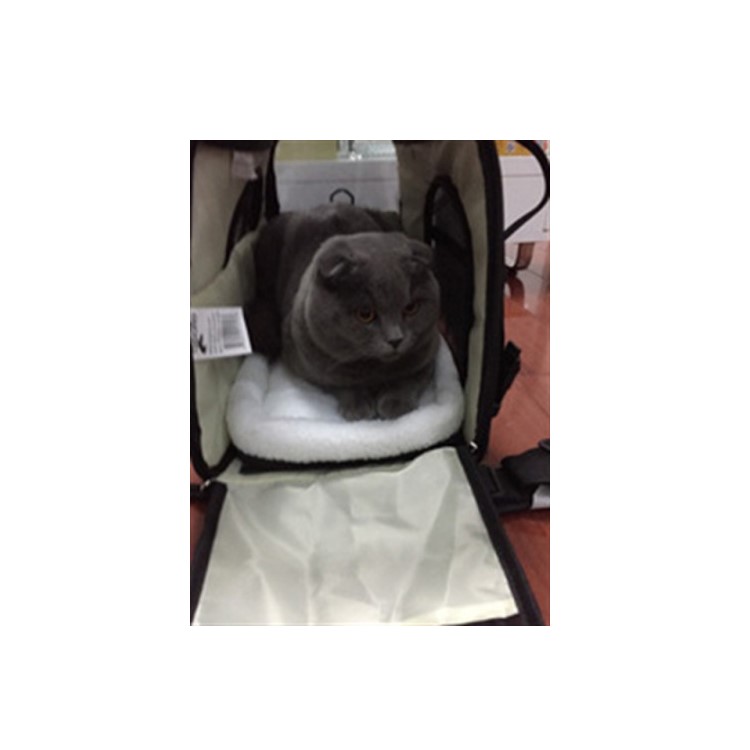 Black Portable Foldable Outdoor Travel Zipper Closure Pet Carrier Bag Pouch, Size: 43 x 20 x 29cm-4