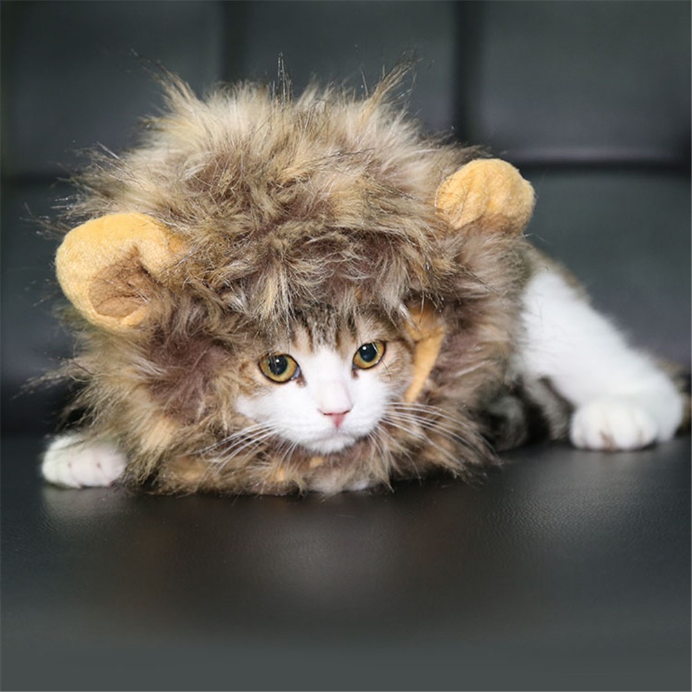 Cute Small Dog Cat Lion Mane Wig with Ears, Neck Girth Size: 26-30cm-2