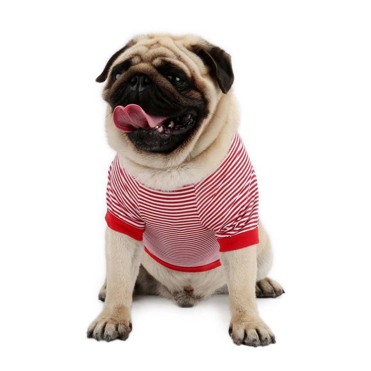 Summer Striped Anchor T-shirt for Pet Dog - Red / Size M-2