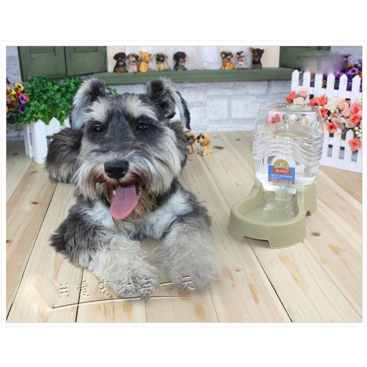 Waterer Gravity Bowl Bottle Pet Automatic Drinker Fit for Small Dogs and Cats - Green-6