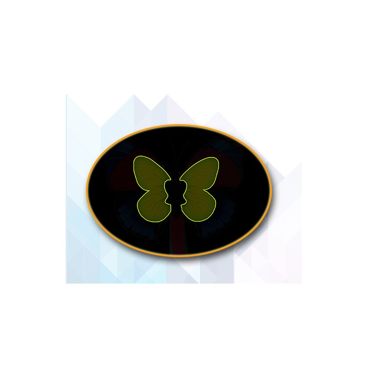 Electric Rotating Butterfly Cat Toy Flashing Butterfly Interactive Cat Toy - White-5