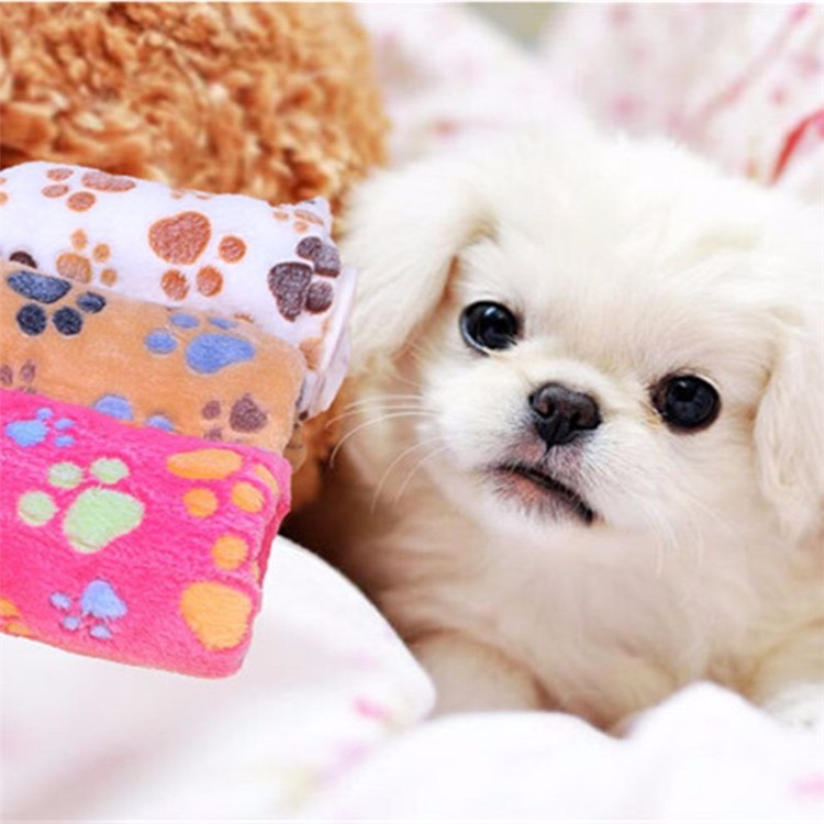 Puppy Blanket Pet Cushion Small Dog Cat Soft Warm Sleep Mat, Size: 80 x 60cm - White-9